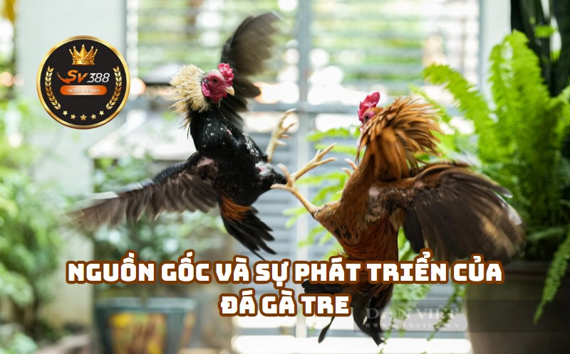 Nguồn Gốc và Sự Phát Triển của Đá Gà Tre