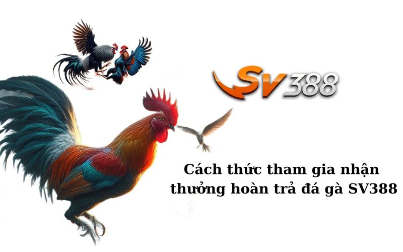 Tổng quan về chương trình hoàn trả SV388