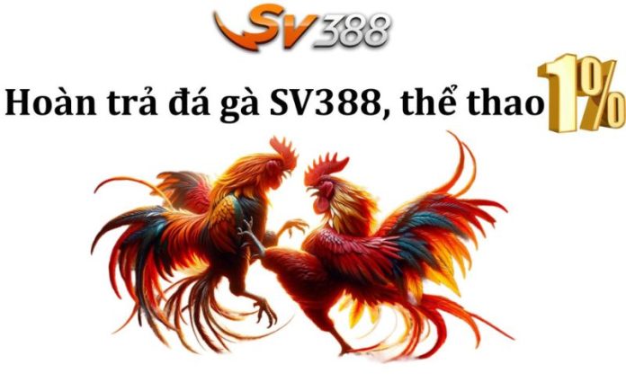 Chương trình hoàn trả SV388