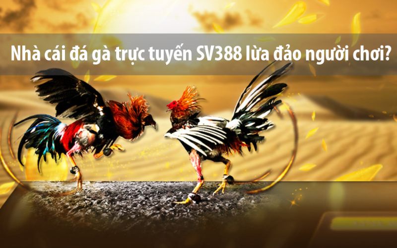 Đánh giá độ minh bạch và uy tín của nhà cái SV388